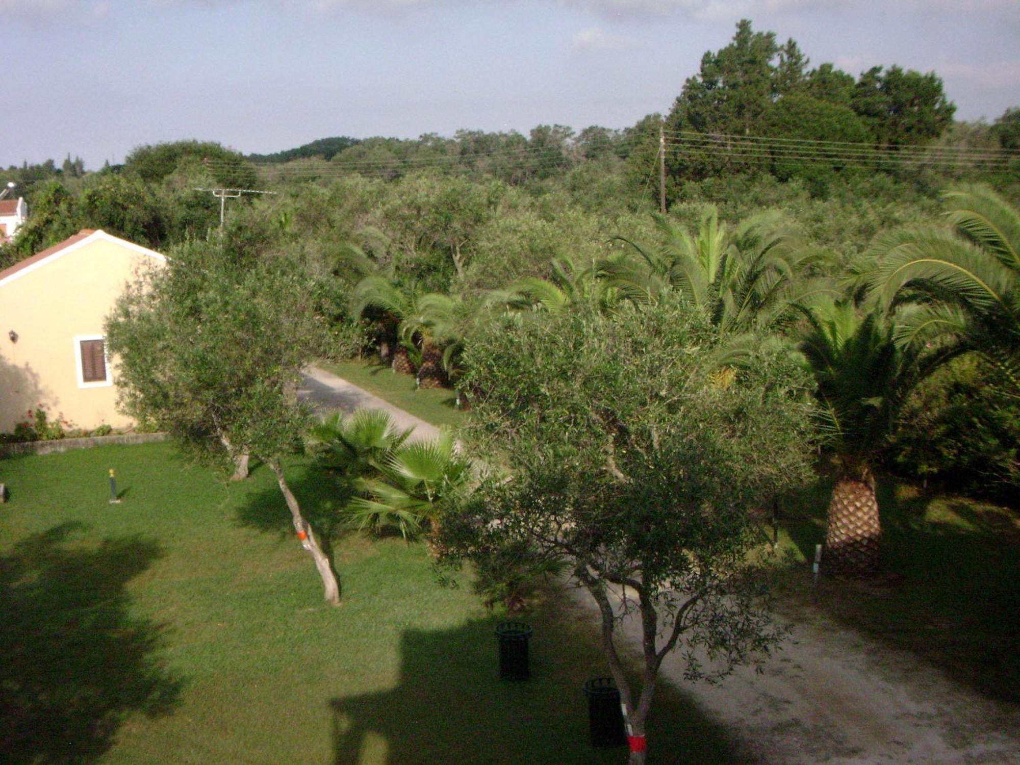 Irini Apartments And Studios Kavos Luaran gambar