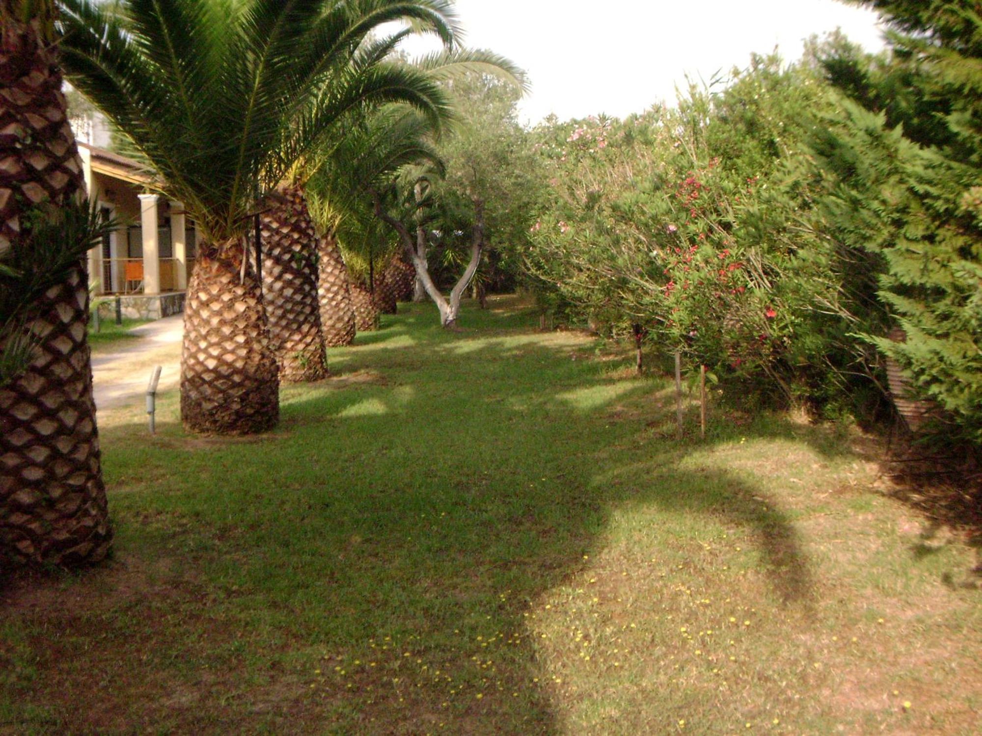 Irini Apartments And Studios Kavos Luaran gambar